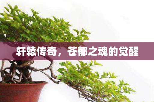 轩辕传奇，苍郁之魂的觉醒