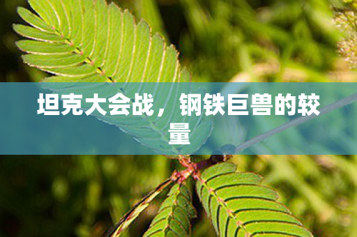 坦克大会战,钢铁巨兽的较量 坦克大会战,钢铁巨兽的较量