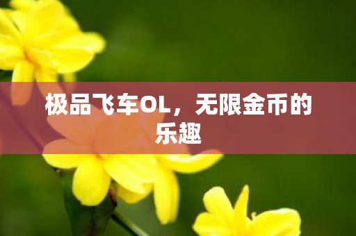 极品飞车OL,无限金币的乐趣 极品飞车OL,无限金币的乐趣