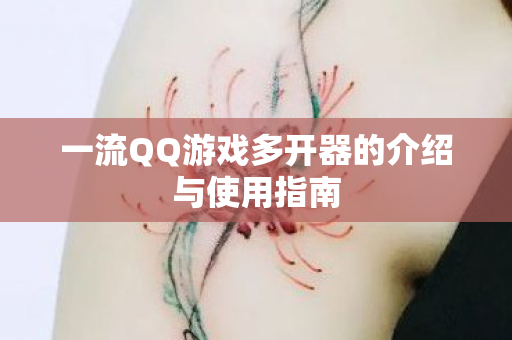 一流QQ游戏多开器的介绍与使用指南 一流QQ游戏多开器的介绍与使用指南