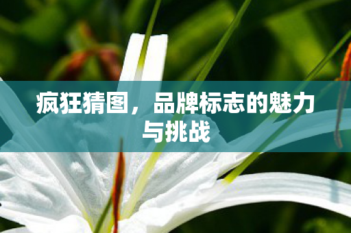 疯狂猜图，品牌标志的魅力与挑战