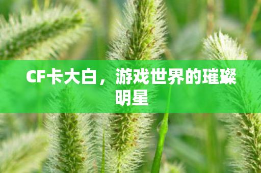 CF卡大白，游戏世界的璀璨明星