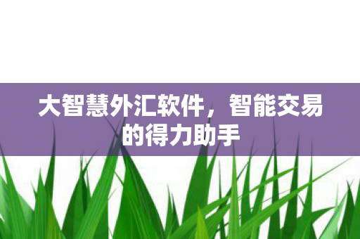 大智慧外汇软件，智能交易的得力助手
