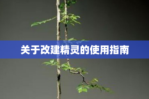 关于改建精灵的使用指南