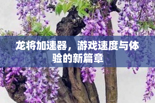 龙将加速器，游戏速度与体验的新篇章