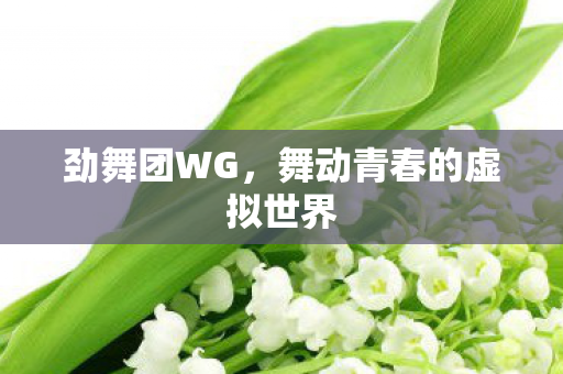 劲舞团WG，舞动青春的虚拟世界