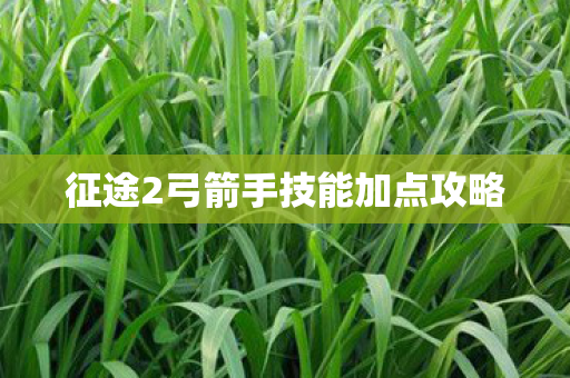 征途2弓箭手技能加点攻略