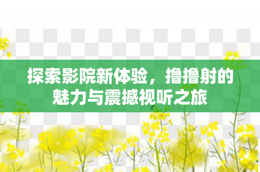 探索影院新体验，撸撸射的魅力与震撼视听之旅