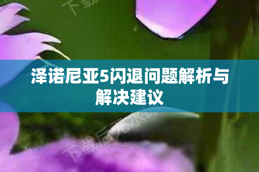 泽诺尼亚5闪退问题解析与解决建议
