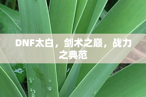 DNF太白，剑术之巅，战力之典范
