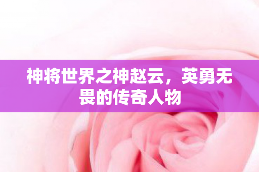 神将世界之神赵云，英勇无畏的传奇人物