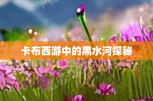 卡布西游中的黑水河探秘 卡布西游中的黑水河探秘