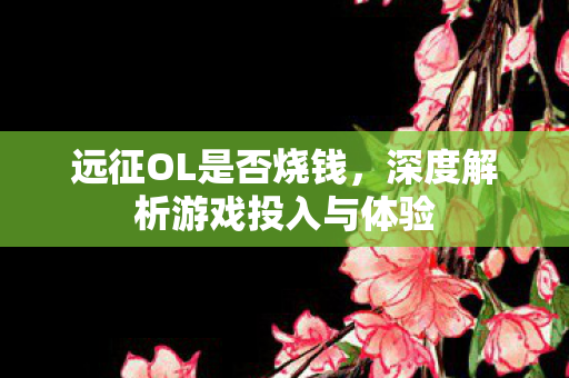 远征OL是否烧钱，深度解析游戏投入与体验