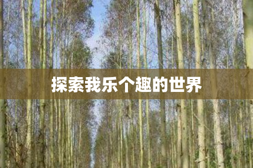 探索我乐个趣的世界