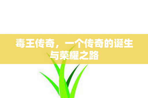 毒王传奇,一个传奇的诞生与荣耀之路 毒王传奇,一个传奇的诞生与荣耀之路