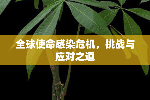 全球使命感染危机，挑战与应对之道