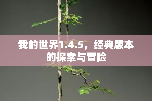 我的世界1.4.5,经典版本的探索与冒险 我的世界1.4.5,经典版本的探索与冒险