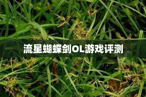 流星蝴蝶剑OL游戏评测 流星蝴蝶剑OL游戏评测