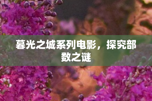 暮光之城系列电影，探究部数之谜