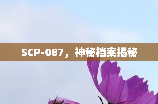 SCP-087，神秘档案揭秘