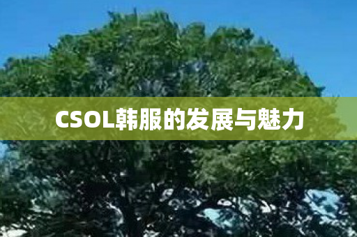 CSOL韩服的发展与魅力
