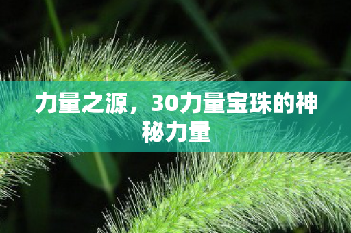 力量之源，30力量宝珠的神秘力量