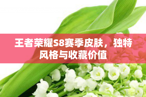 王者荣耀S8赛季皮肤，独特风格与收藏价值