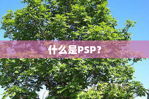 什么是PSP？
