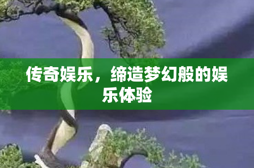 传奇娱乐，缔造梦幻般的娱乐体验