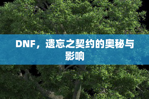 DNF，遗忘之契约的奥秘与影响