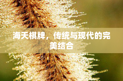 海天棋牌，传统与现代的完美结合