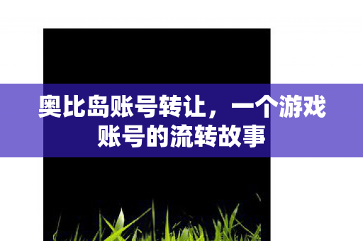 奥比岛账号转让，一个游戏账号的流转故事