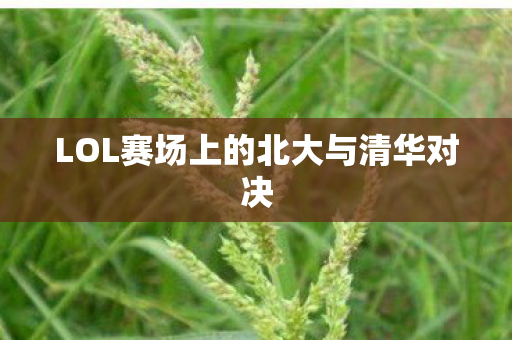 LOL赛场上的北大与清华对决