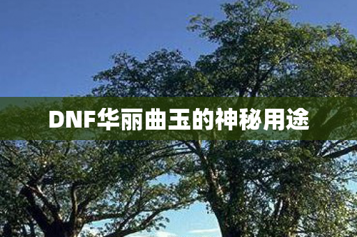DNF华丽曲玉的神秘用途