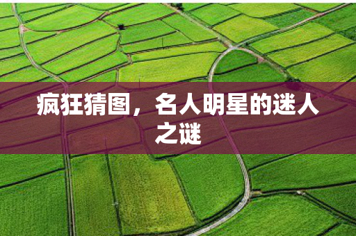 疯狂猜图，名人明星的迷人之谜