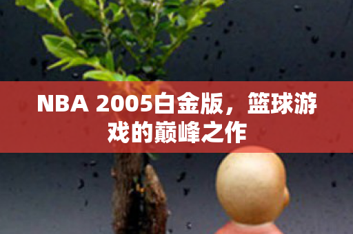 NBA 2005白金版，篮球游戏的巅峰之作