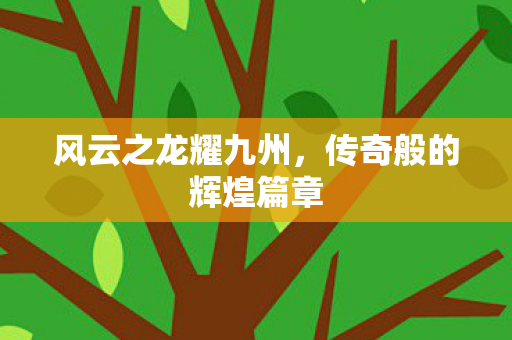风云之龙耀九州，传奇般的辉煌篇章