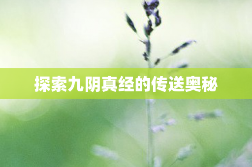 探索九阴真经的传送奥秘