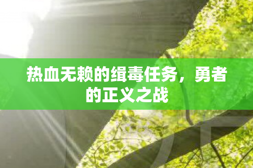 热血无赖的缉毒任务，勇者的正义之战