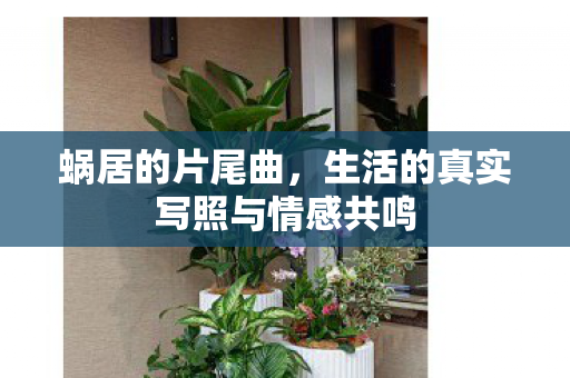 蜗居的片尾曲，生活的真实写照与情感共鸣