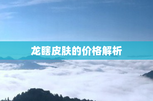 龙瞎皮肤的价格解析