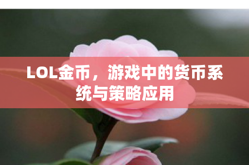 LOL金币，游戏中的货币系统与策略应用