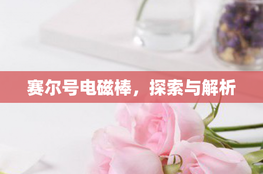 赛尔号电磁棒，探索与解析