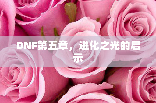 DNF第五章，进化之光的启示
