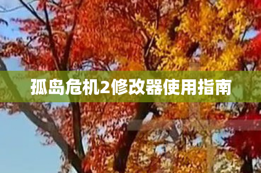 孤岛危机2修改器使用指南