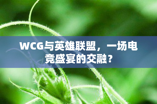 WCG与英雄联盟，一场电竞盛宴的交融？