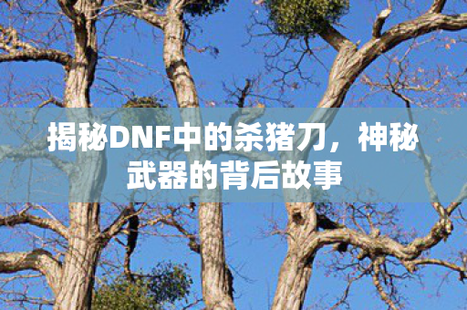 揭秘DNF中的杀猪刀，神秘武器的背后故事