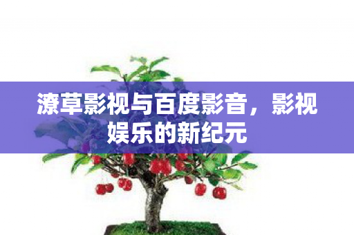 潦草影视与百度影音，影视娱乐的新纪元