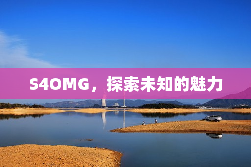 S4OMG，探索未知的魅力