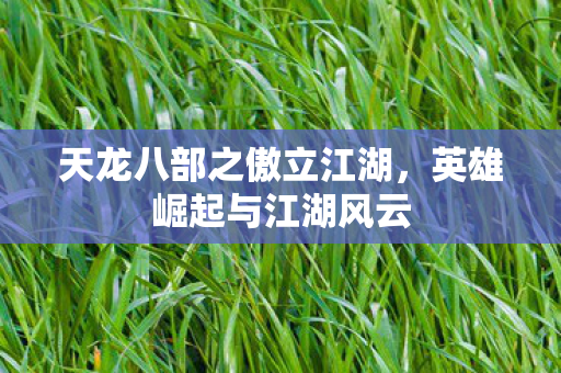 天龙八部之傲立江湖,英雄崛起与江湖风云 天龙八部之傲立江湖,英雄崛起与江湖风云